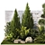 Urban Greenery Collection: Conifers, Shrubs, Bonsai 3D model small image 2