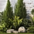 Urban Greenery Collection: Conifers, Shrubs, Bonsai 3D model small image 4