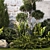 Urban Greenery Collection: Conifers, Shrubs, Bonsai 3D model small image 6