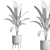 Tropical Banana Indoor Plant 3D model small image 3