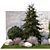 Nature's Haven Plant Collection 3D model small image 2