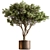 Lush Tree in Pot 3D model small image 1