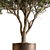 Lush Tree in Pot 3D model small image 3