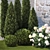 Hydrangea & Cypress Landscape Collection 3D model small image 4