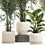 Tropical Plant Collection in Stylish Pots 3D model small image 4