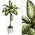 Tropic Dumb Cane 3D Model 3D model small image 1