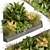 Volume 519 Garden Plant Collection 3D model small image 1