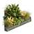 Volume 519 Garden Plant Collection 3D model small image 3
