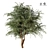 Tree Vol 12 3D Model 3D model small image 1