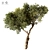 Tree Vol 11 3D Model 3D model small image 1