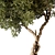 Tree Vol 11 3D Model 3D model small image 2