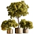 Botanical Bliss: Tree in Pot 3D model small image 1