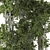 Ficus Bonsai 3D Model Kit 3D model small image 4