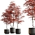 Lush Tree in Ceramic Pot 3D model small image 1