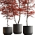 Lush Tree in Ceramic Pot 3D model small image 3