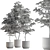 Lush Tree in Ceramic Pot 3D model small image 4