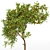 Fruit Tree 3D Models Collection 3D model small image 2