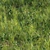 Grass Scatter Kit for Renders 3D model small image 3