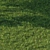 Grass Scatter Kit for Renders 3D model small image 4