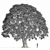 Stone Oak Tree 3D Model 3D model small image 4