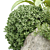 Outdoor Plants Collection Vol.233 3D model small image 4