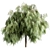 Graceful Weeping Willow Tree Set 3D model small image 1