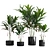 Tropical Potted Plants Set: Heliconia 3D model small image 1