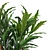 Tropical Potted Plants Set: Heliconia 3D model small image 2