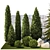 Landscaping Collection with Mature Trees & Shrubs 3D model small image 2