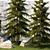 Landscaping Collection with Mature Trees & Shrubs 3D model small image 5