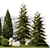 Landscaping Collection with Mature Trees & Shrubs 3D model small image 6