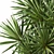 Tropical Palm Tree 3D Model 3D model small image 3