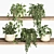 Plant Shelf Display Unit 3D model small image 6