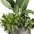 Premium Plant Collection for 3D enthusiastics 3D model small image 6