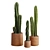 Desert Cactus Collection 3D model small image 1