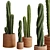 Desert Cactus Collection 3D model small image 2