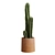 Desert Cactus Collection 3D model small image 4