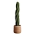 Desert Cactus Collection 3D model small image 5