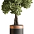 Decorative Tree Plant in Pot 3D model small image 3