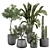 Interior Plant Decoration Life Giver 3D model small image 1