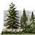 Large Specimen Plant Collection 3D model small image 2