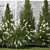 Large Specimen Plant Collection 3D model small image 5