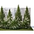 Large Specimen Plant Collection 3D model small image 6