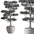 Evergreen Tree in Pot 3D model small image 4