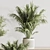 Vibrant Indoor Plant Arrangement 3D model small image 6