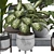 Tropical Indoor Plant Set Mesh 3D model small image 5