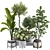 Tropical Indoor Plant Set Mesh 3D model small image 8