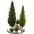 Landscaping Tree Bush OBJ Bundle 3D model small image 2