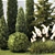 Landscape Design Plant Collection 3D model small image 4