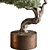 Bonsai Beauty: Indoor Plant Elegance 3D model small image 3
